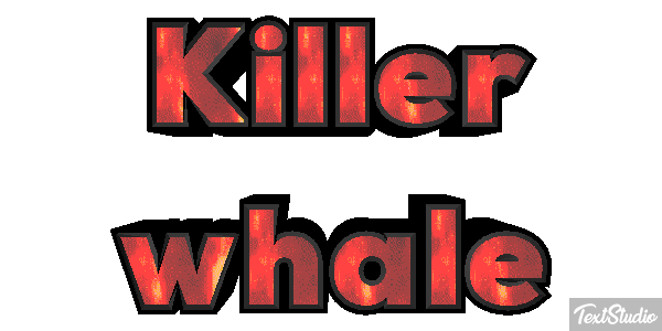 Killer whale Effet de texte