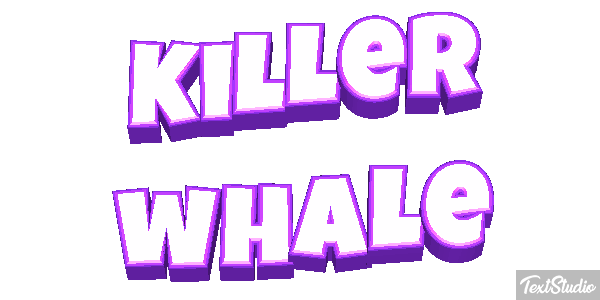 Killer whale Effet de texte
