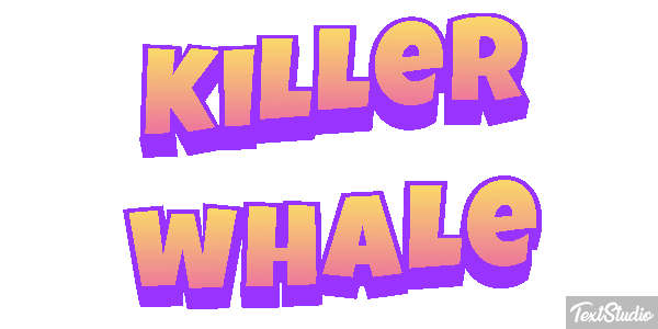 Killer whale Effet de texte