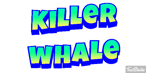 Killer whale Effet de texte
