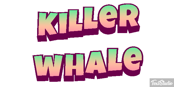 Killer whale Effet de texte