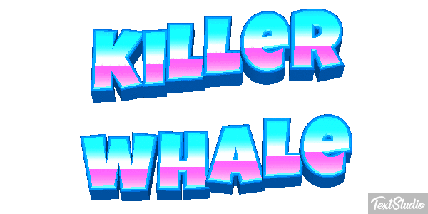 Killer whale Effet de texte