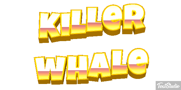 Killer whale Effet de texte