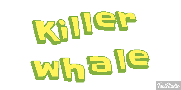 Killer whale Effet de texte