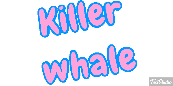 Killer whale Effet de texte