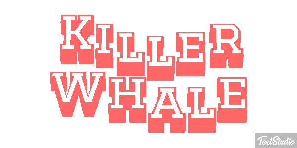 Killer whale Effet de texte