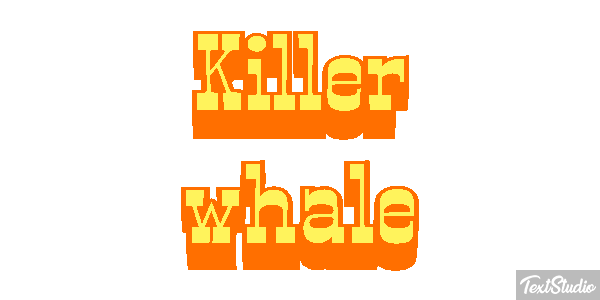 Killer whale Effet de texte