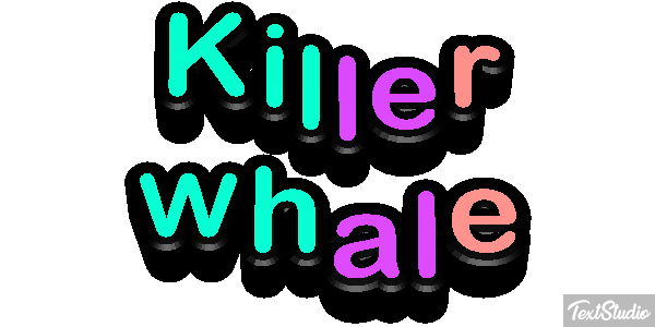 Killer whale Effet de texte