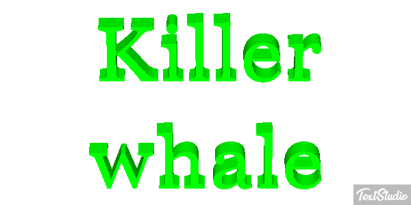 Killer whale Effet de texte