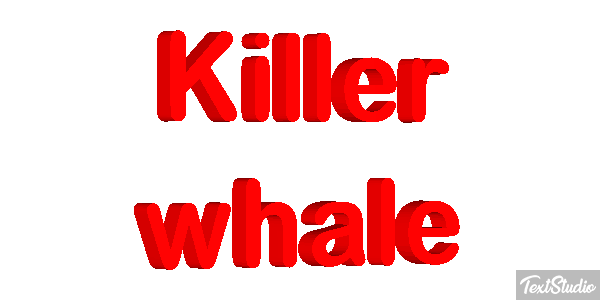 Killer whale Effet de texte