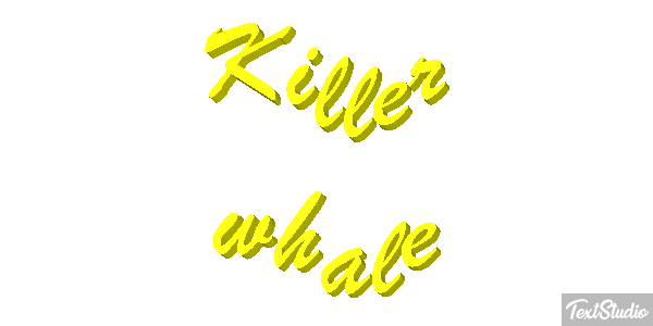 Killer whale Effet de texte