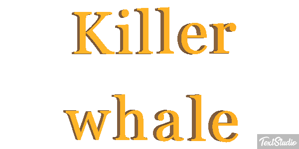 Killer whale Effet de texte