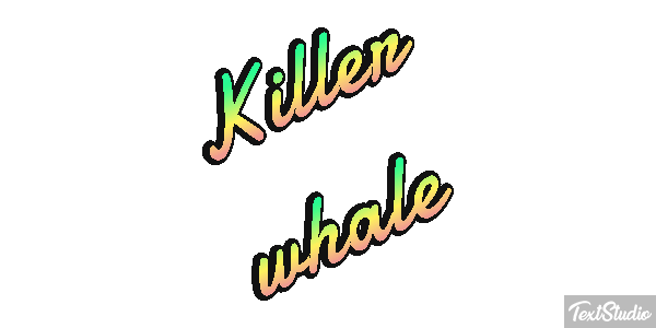 Killer whale Effet de texte