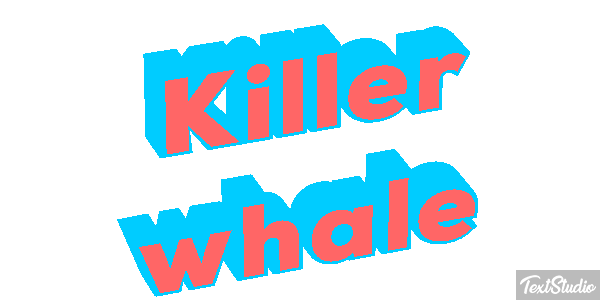 Killer whale Effet de texte