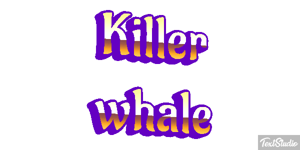 Killer whale Effet de texte