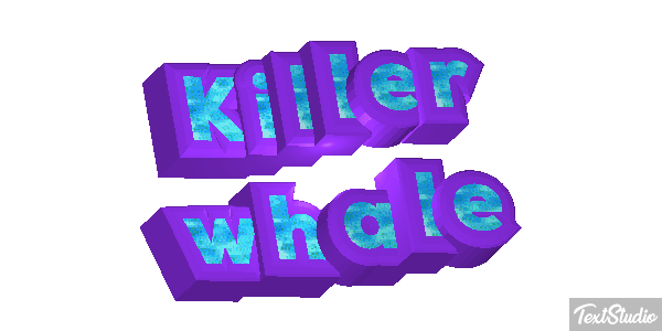 Killer whale Effet de texte