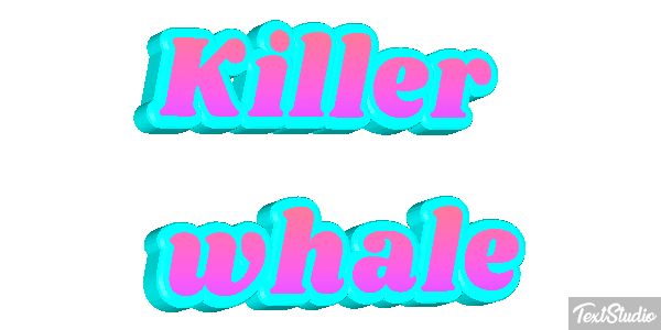 Killer whale Effet de texte