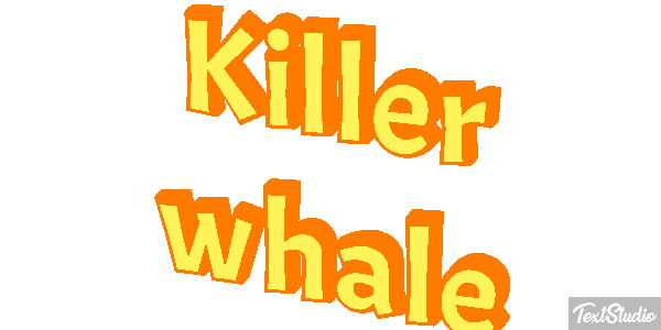 Killer whale Effet de texte