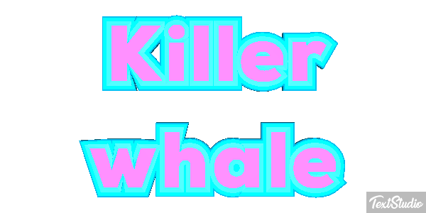 Killer whale Effet de texte