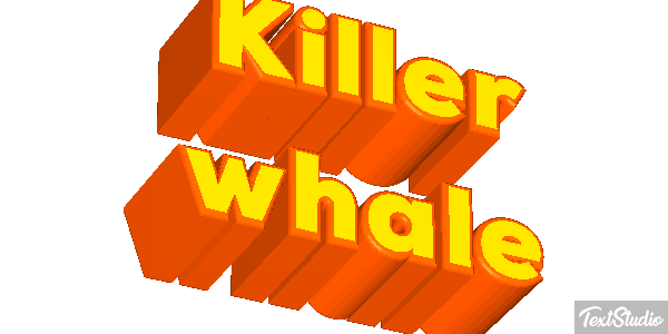 Killer whale Effet de texte