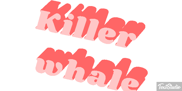 Killer whale Effet de texte