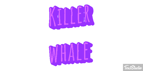 Killer whale Effet de texte