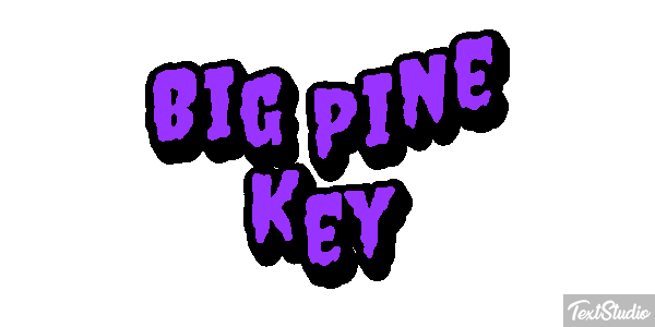 Big Pine Key Text effect