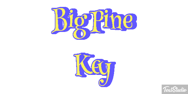 Big Pine Key Text effect