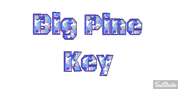 Big Pine Key Text effect
