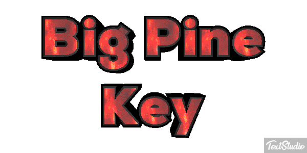 Big Pine Key Text effect