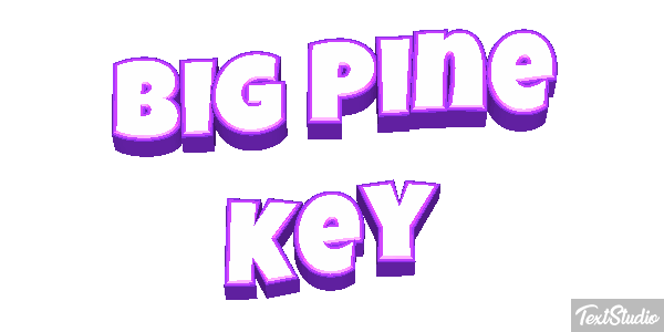 Big Pine Key Text effect