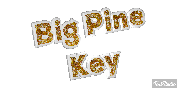 Big Pine Key Text effect