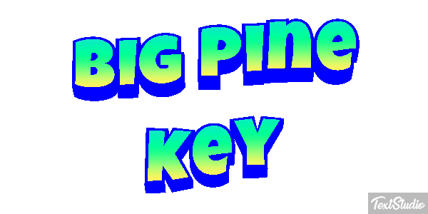 Big Pine Key Text effect