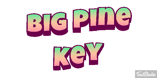 Big Pine Key Text effect
