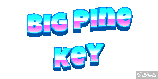 Big Pine Key Text effect