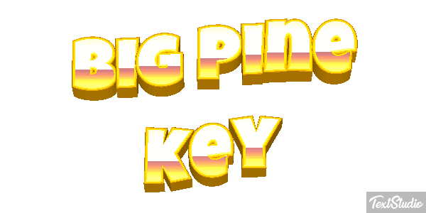 Big Pine Key Text effect