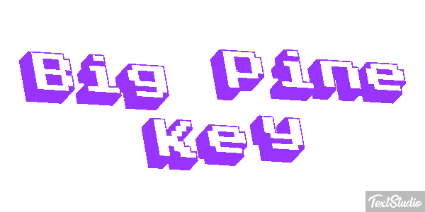 Big Pine Key Text effect