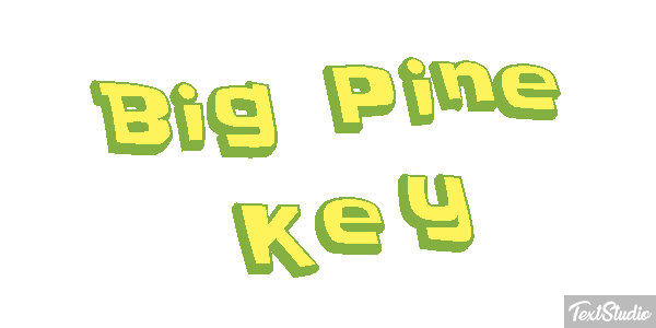 Big Pine Key Text effect