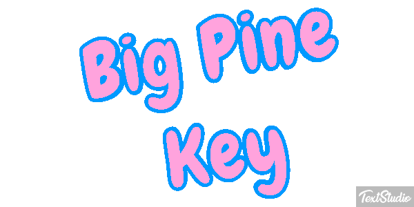 Big Pine Key Text effect