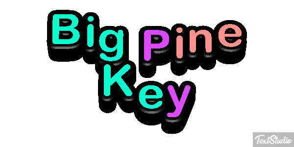 Big Pine Key Text effect