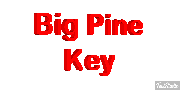 Big Pine Key Text effect