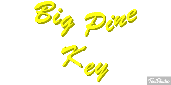 Big Pine Key Text effect