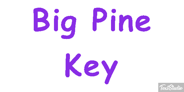 Big Pine Key Text effect