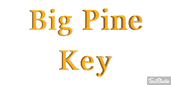 Big Pine Key Text effect