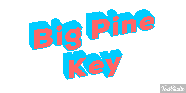 Big Pine Key Text effect