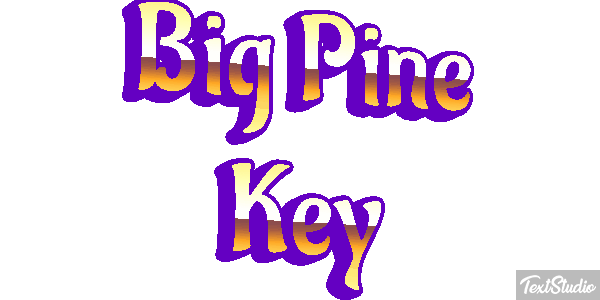 Big Pine Key Text effect