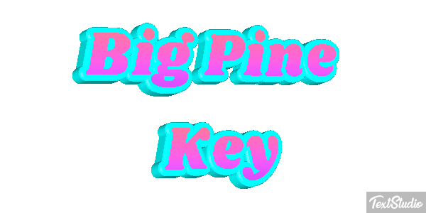 Big Pine Key Text effect