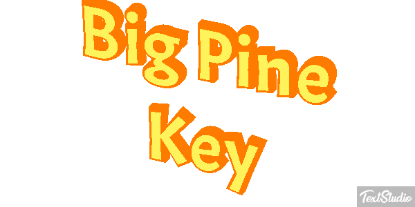 Big Pine Key Text effect