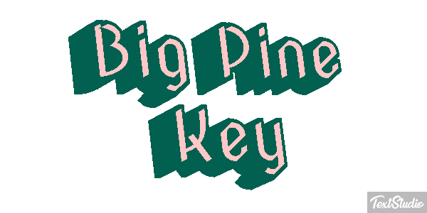 Big Pine Key Text effect