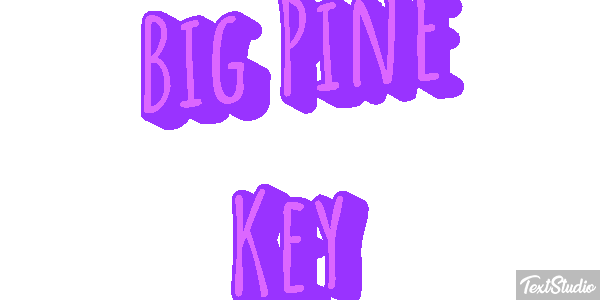 Big Pine Key Text effect